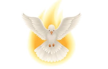 Holy Spirit dove